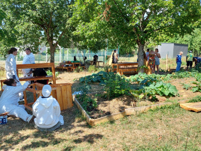 Aux Rosoirs, le renouveau du jardin partagé