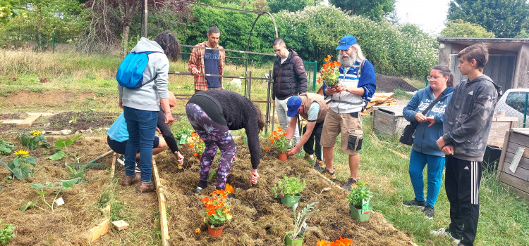 Du monde pour planter les capucines