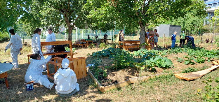 Aux Rosoirs, le renouveau du jardin partagé